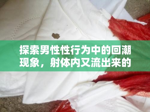 探索男性性行為中的回潮現(xiàn)象，射體內(nèi)又流出來的奧秘