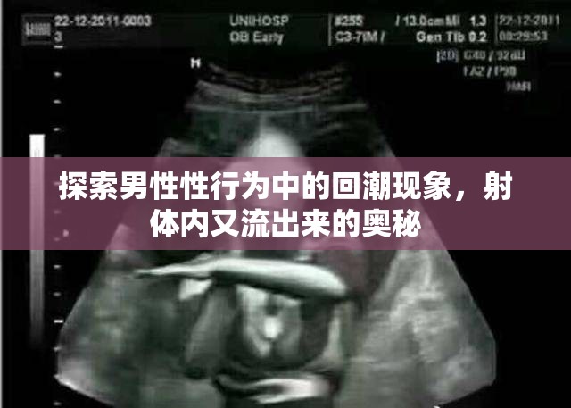 探索男性性行為中的回潮現(xiàn)象，射體內(nèi)又流出來的奧秘