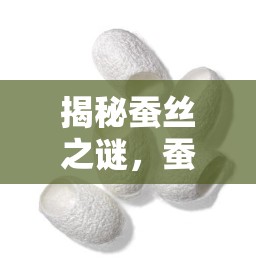 揭秘蠶絲之謎，蠶尾巴流出的透明水——自然界的微妙奇跡