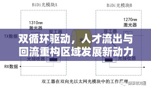 雙循環(huán)驅(qū)動(dòng)，人才流出與回流重構(gòu)區(qū)域發(fā)展新動(dòng)力