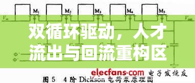 雙循環(huán)驅(qū)動(dòng)，人才流出與回流重構(gòu)區(qū)域發(fā)展新動(dòng)力