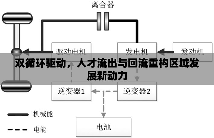 雙循環(huán)驅(qū)動(dòng)，人才流出與回流重構(gòu)區(qū)域發(fā)展新動(dòng)力