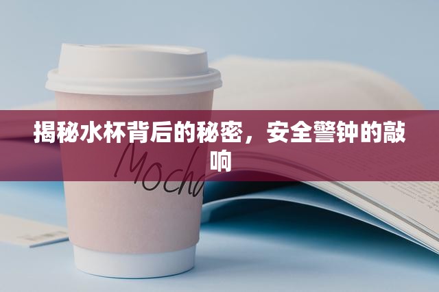 揭秘水杯背后的秘密，安全警鐘的敲響
