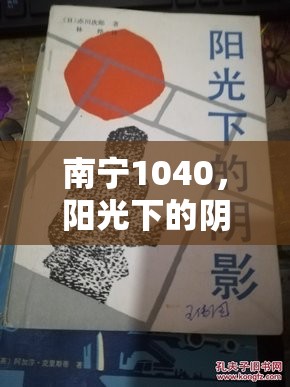 南寧1040，陽(yáng)光下的陰影——公眾審視與最新動(dòng)態(tài)