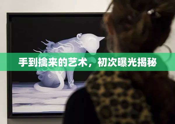 手到擒來的藝術(shù)，初次曝光揭秘