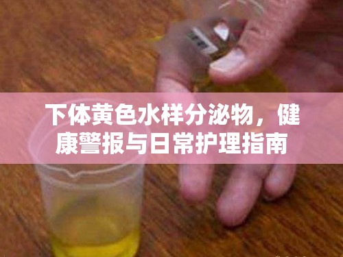 下體黃色水樣分泌物，健康警報(bào)與日常護(hù)理指南