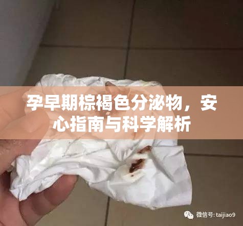 孕早期棕褐色分泌物，安心指南與科學(xué)解析