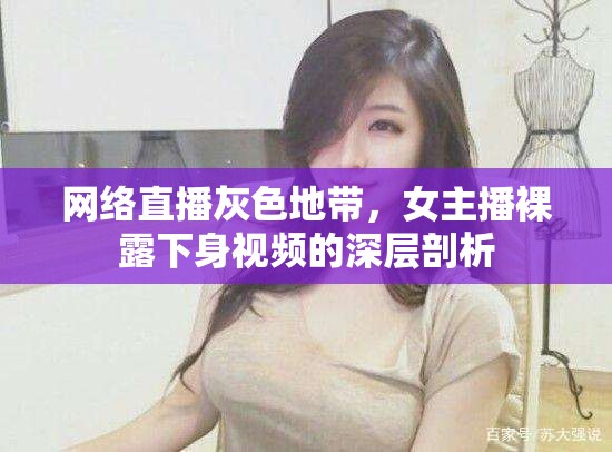 網絡直播灰色地帶，女主播裸露下身視頻的深層剖析