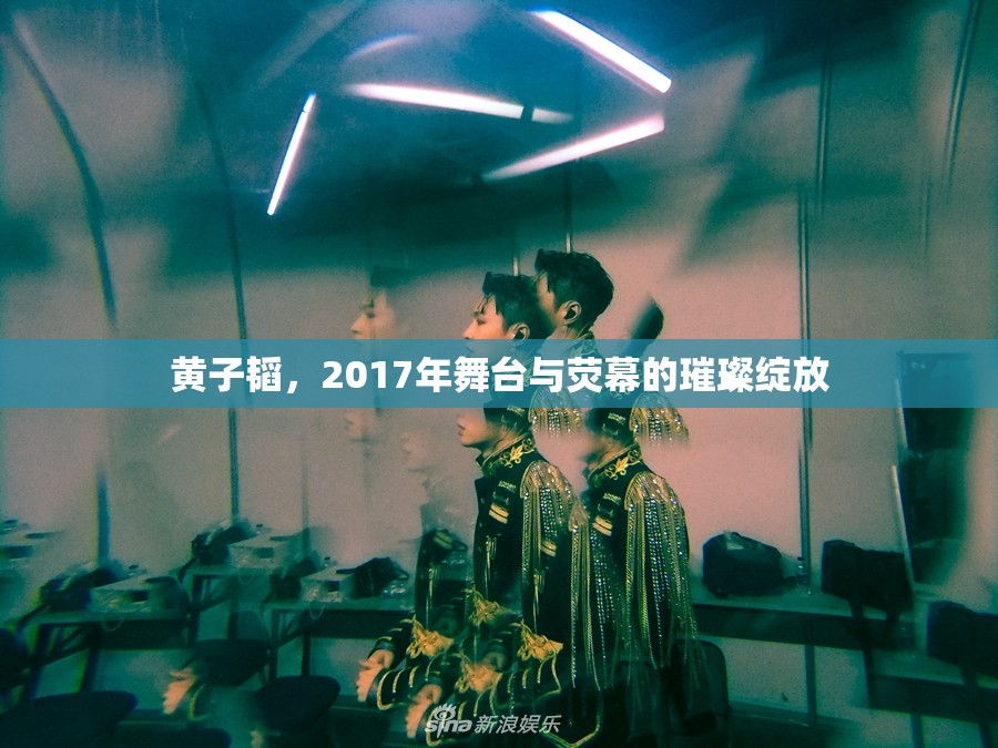 黃子韜，2017年舞臺(tái)與熒幕的璀璨綻放