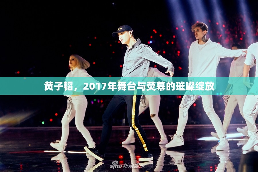 黃子韜，2017年舞臺(tái)與熒幕的璀璨綻放