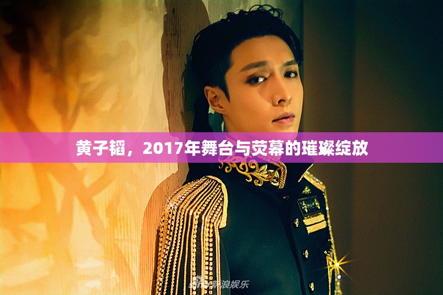 黃子韜，2017年舞臺(tái)與熒幕的璀璨綻放