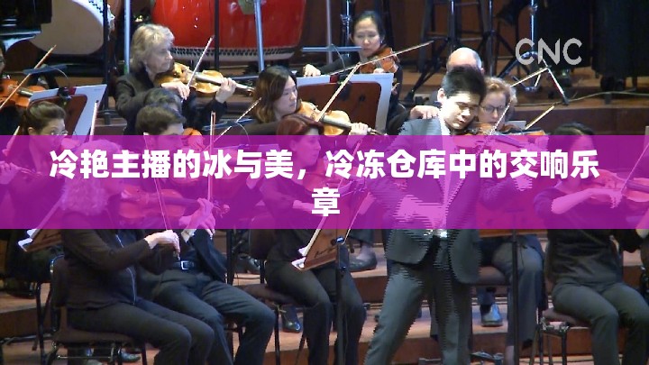 冷艷主播的冰與美，冷凍倉庫中的交響樂章