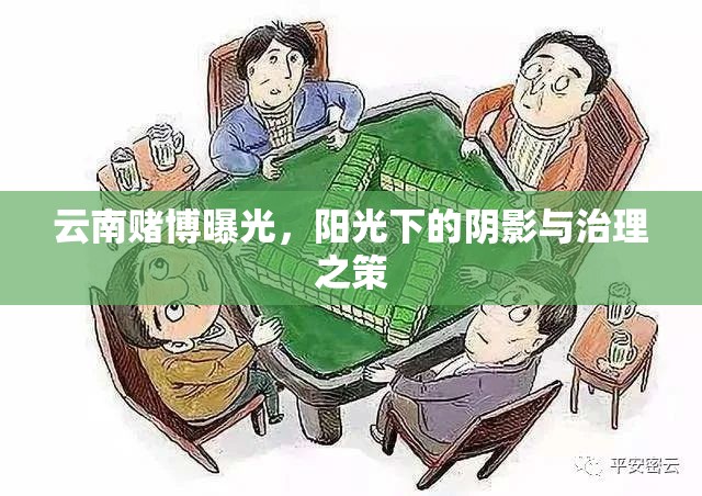 云南賭博曝光，陽光下的陰影與治理之策