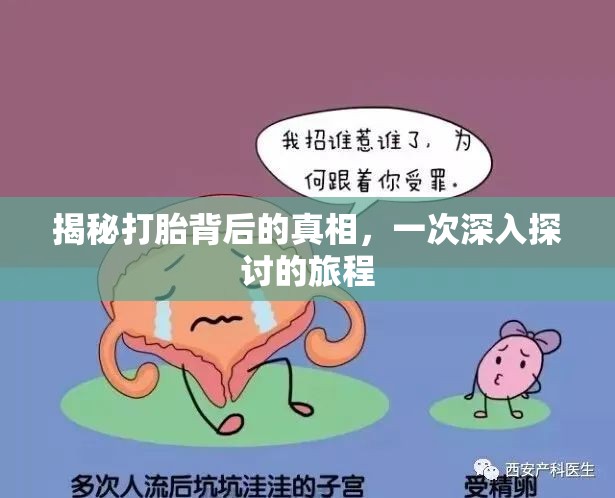 揭秘打胎背后的真相，一次深入探討的旅程