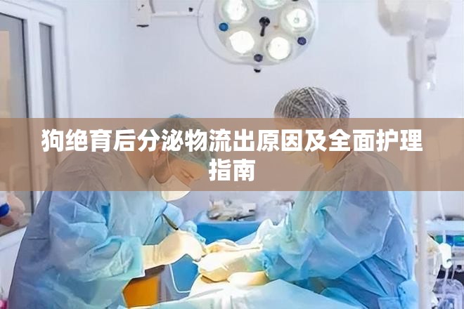 狗絕育后分泌物流出原因及全面護理指南