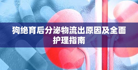 狗絕育后分泌物流出原因及全面護理指南