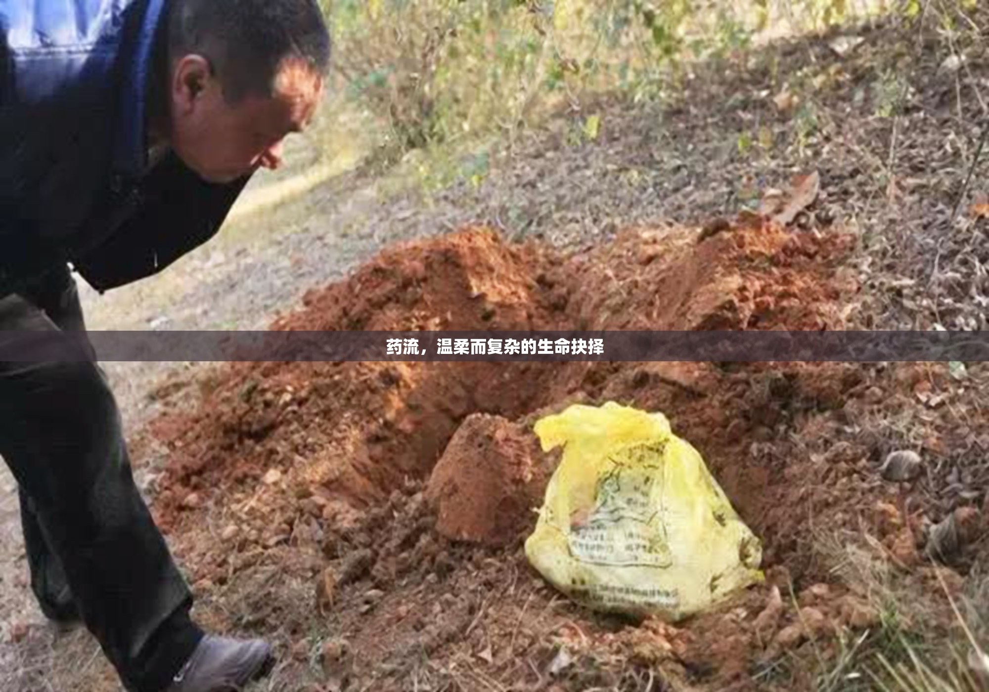 藥流，溫柔而復(fù)雜的生命抉擇