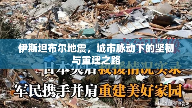 伊斯坦布爾地震，城市脈動下的堅韌與重建之路