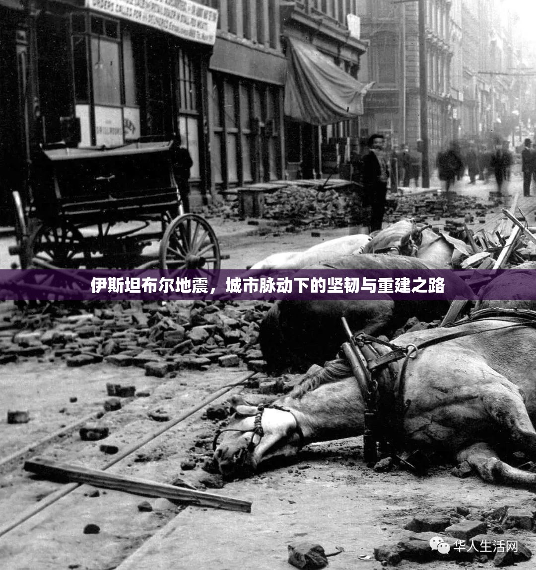 伊斯坦布爾地震，城市脈動下的堅韌與重建之路