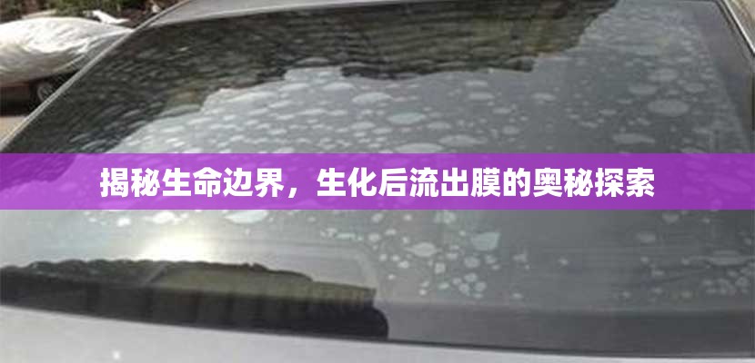 揭秘生命邊界，生化后流出膜的奧秘探索