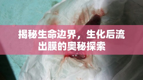 揭秘生命邊界，生化后流出膜的奧秘探索