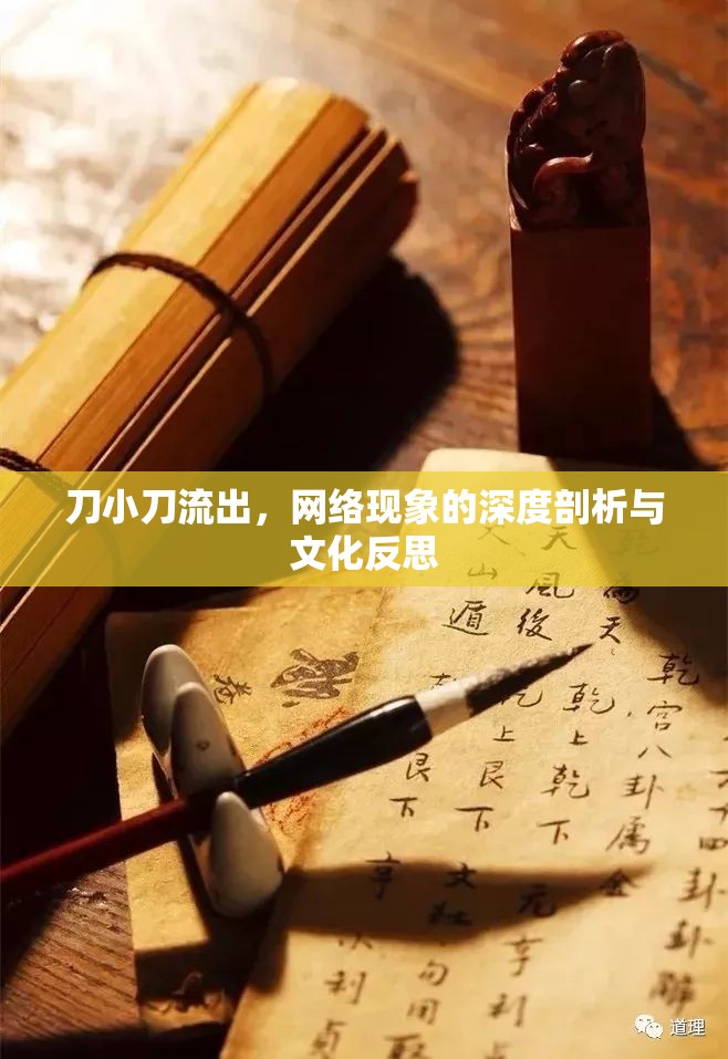 刀小刀流出，網(wǎng)絡(luò)現(xiàn)象的深度剖析與文化反思