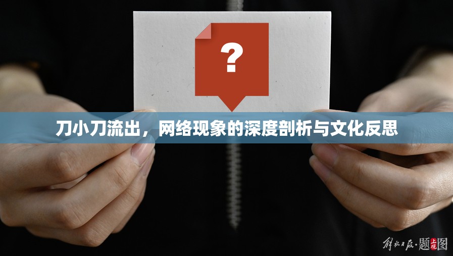 刀小刀流出，網(wǎng)絡(luò)現(xiàn)象的深度剖析與文化反思