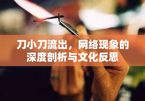 刀小刀流出，網(wǎng)絡(luò)現(xiàn)象的深度剖析與文化反思
