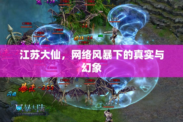 江蘇大仙，網(wǎng)絡(luò)風(fēng)暴下的真實(shí)與幻象