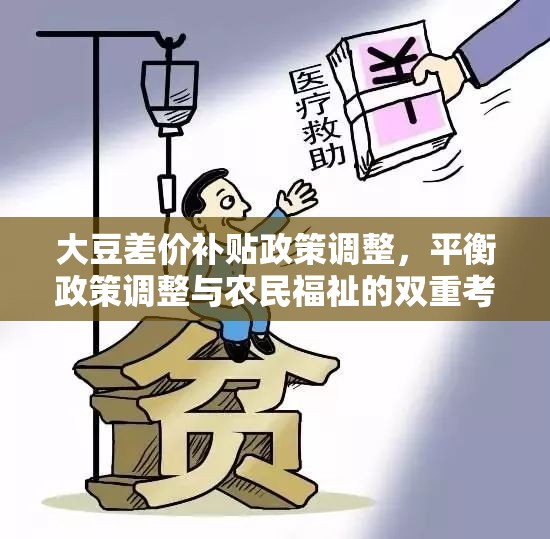 大豆差價補貼政策調(diào)整，平衡政策調(diào)整與農(nóng)民福祉的雙重考量
