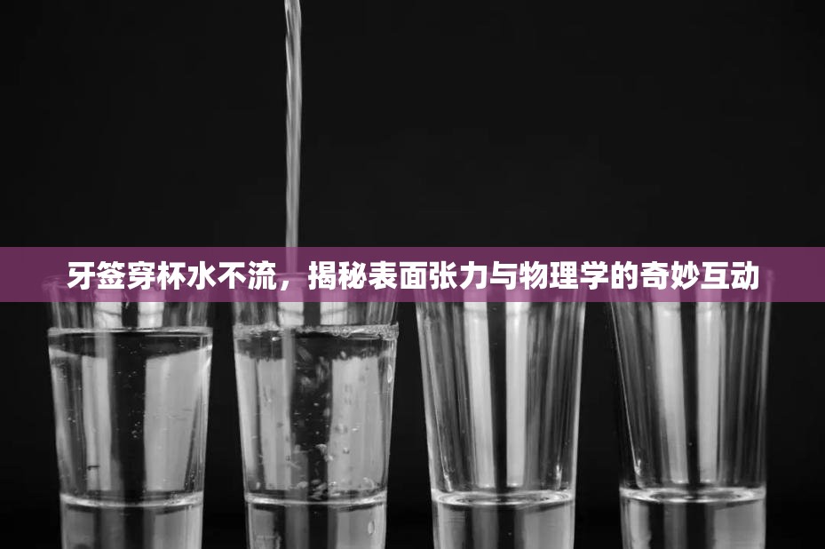 牙簽穿杯水不流，揭秘表面張力與物理學(xué)的奇妙互動