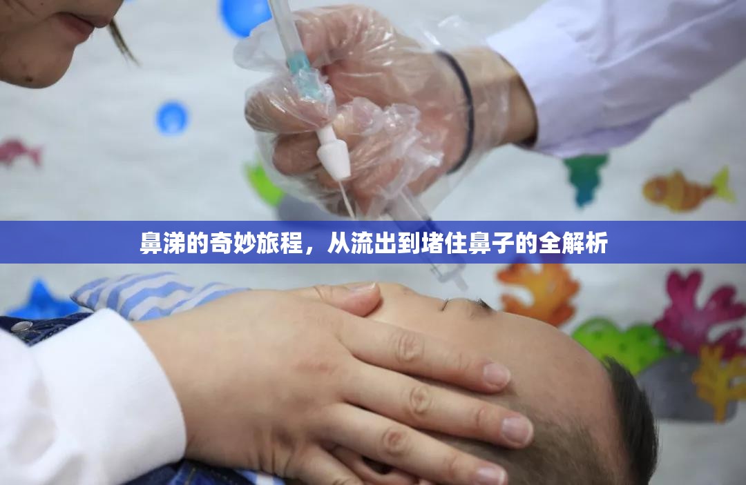 鼻涕的奇妙旅程，從流出到堵住鼻子的全解析