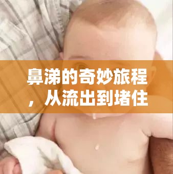 鼻涕的奇妙旅程，從流出到堵住鼻子的全解析