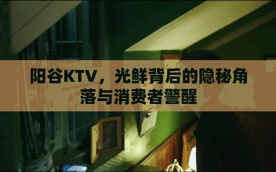 陽谷KTV，光鮮背后的隱秘角落與消費者警醒