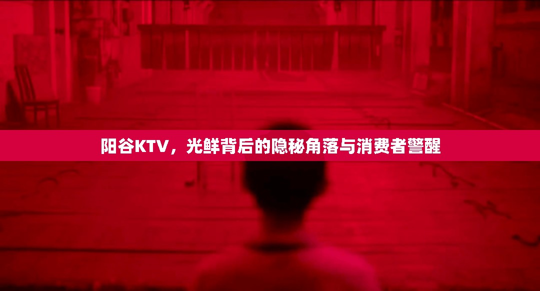陽谷KTV，光鮮背后的隱秘角落與消費者警醒