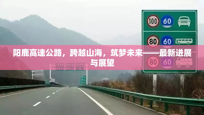 陽(yáng)鹿高速公路，跨越山海，筑夢(mèng)未來(lái)——最新進(jìn)展與展望