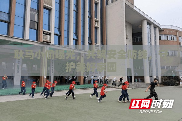 耿馬小偷曝光，共筑安全防線，守護(hù)美好家園