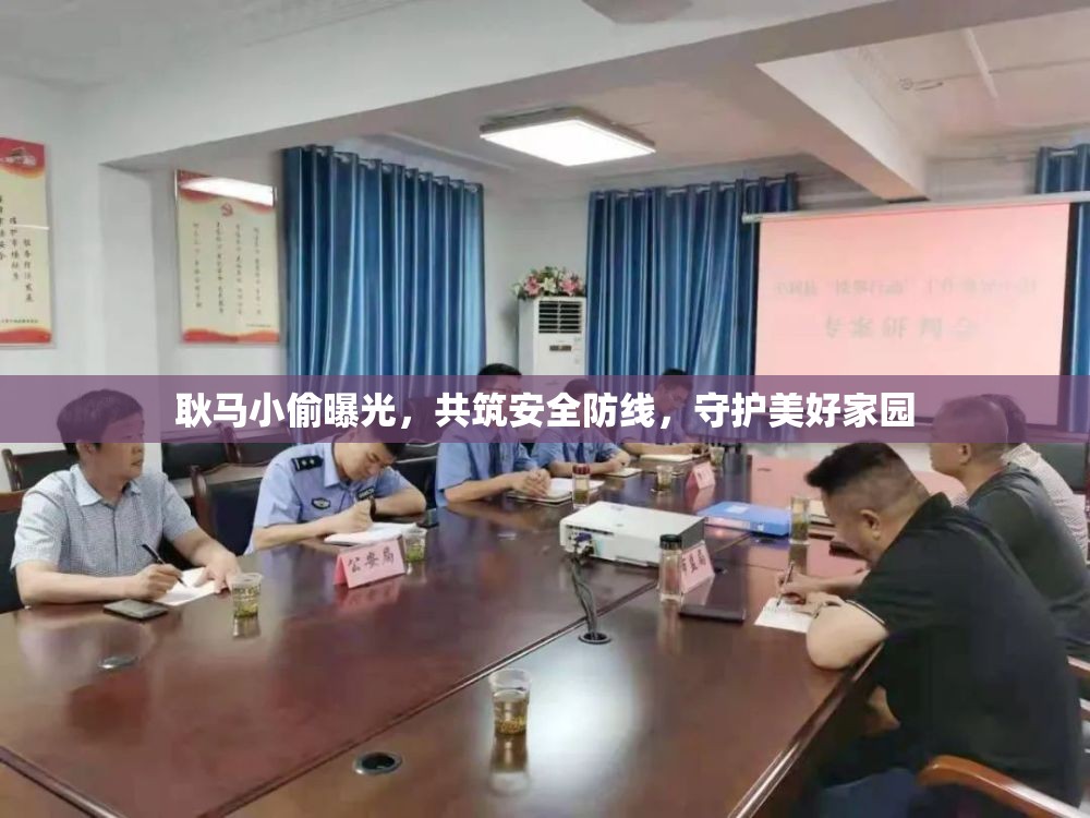 耿馬小偷曝光，共筑安全防線，守護(hù)美好家園