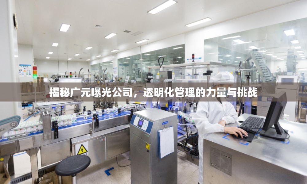 揭秘廣元曝光公司，透明化管理的力量與挑戰(zhàn)
