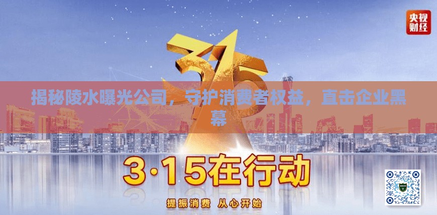 揭秘陵水曝光公司，守護(hù)消費(fèi)者權(quán)益，直擊企業(yè)黑幕
