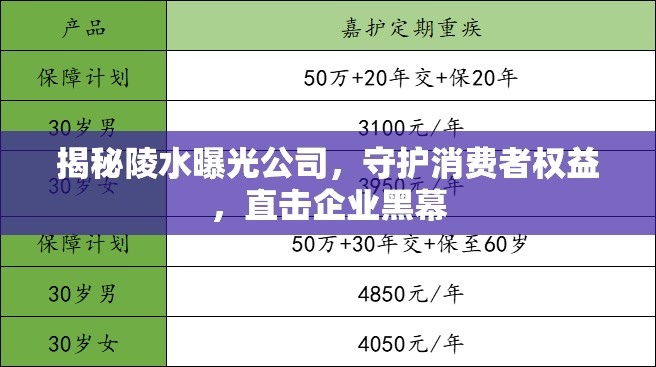 揭秘陵水曝光公司，守護(hù)消費(fèi)者權(quán)益，直擊企業(yè)黑幕