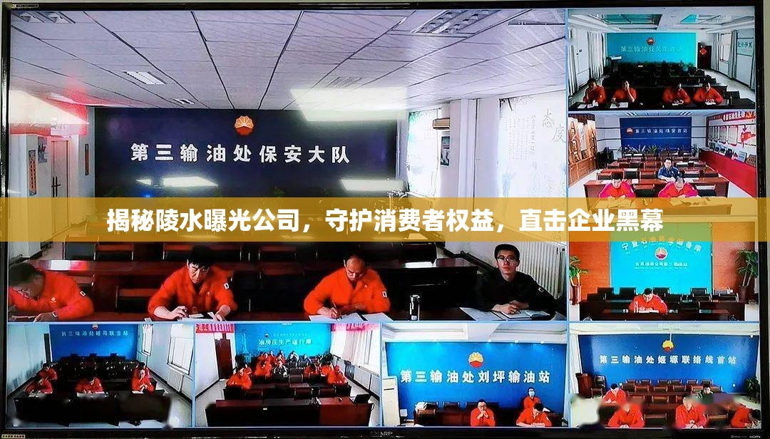 揭秘陵水曝光公司，守護(hù)消費(fèi)者權(quán)益，直擊企業(yè)黑幕