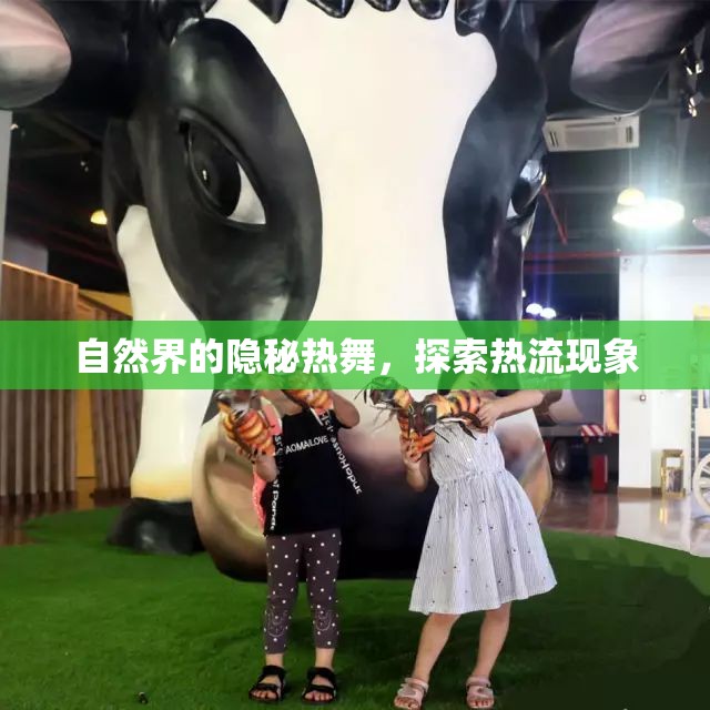自然界的隱秘?zé)嵛?，探索熱流現(xiàn)象