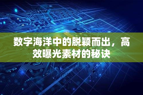 數(shù)字海洋中的脫穎而出，高效曝光素材的秘訣