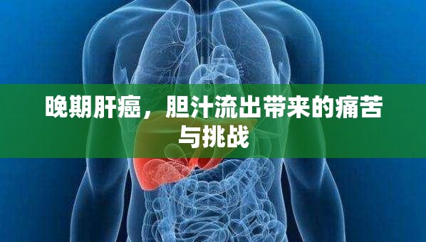 晚期肝癌，膽汁流出帶來的痛苦與挑戰(zhàn)