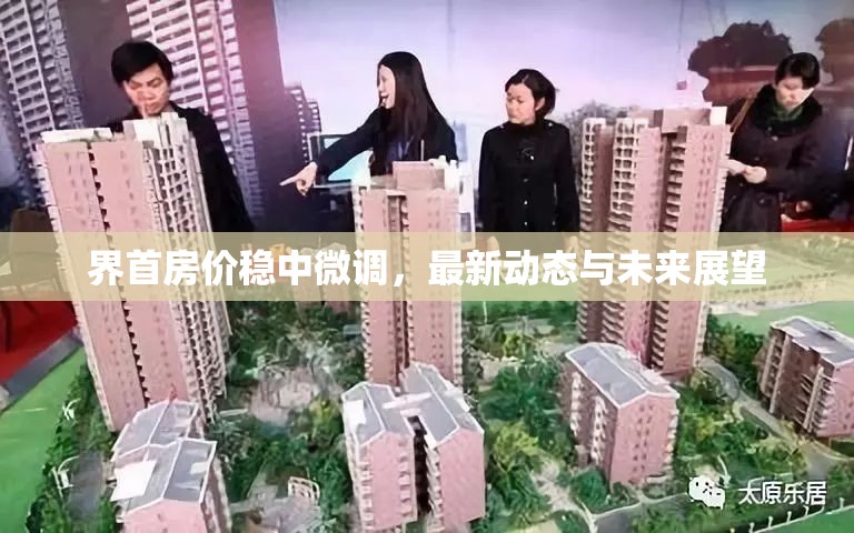 界首房價穩(wěn)中微調(diào)，最新動態(tài)與未來展望