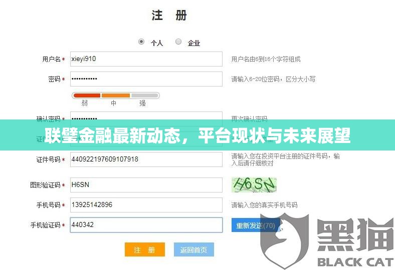 聯(lián)璧金融最新動態(tài)，平臺現(xiàn)狀與未來展望