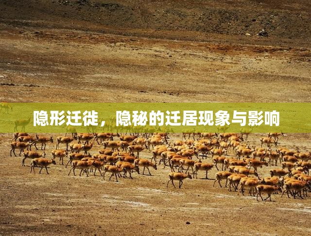 隱形遷徙，隱秘的遷居現(xiàn)象與影響