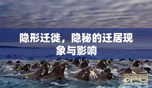 隱形遷徙，隱秘的遷居現(xiàn)象與影響