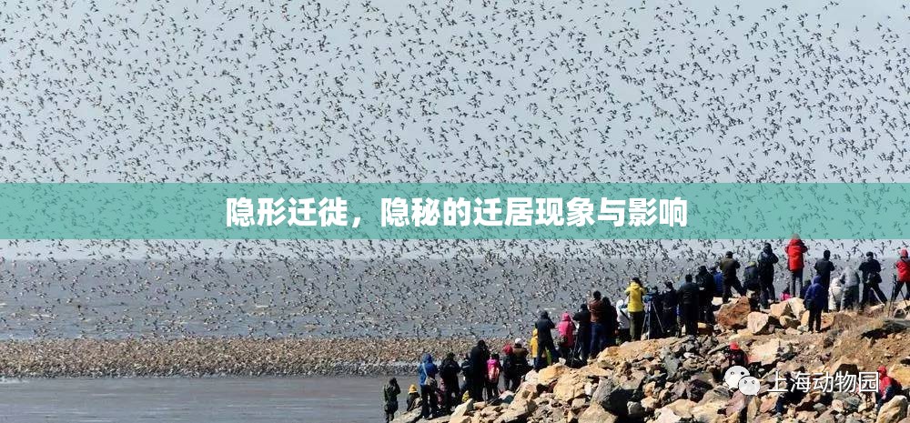 隱形遷徙，隱秘的遷居現(xiàn)象與影響